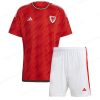 Wales Thuisshirt Kinderen Voetbaltenue 2022
